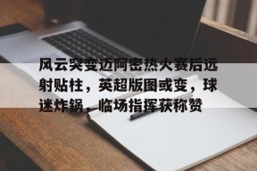 爱游戏入口-迈阿密热火图片