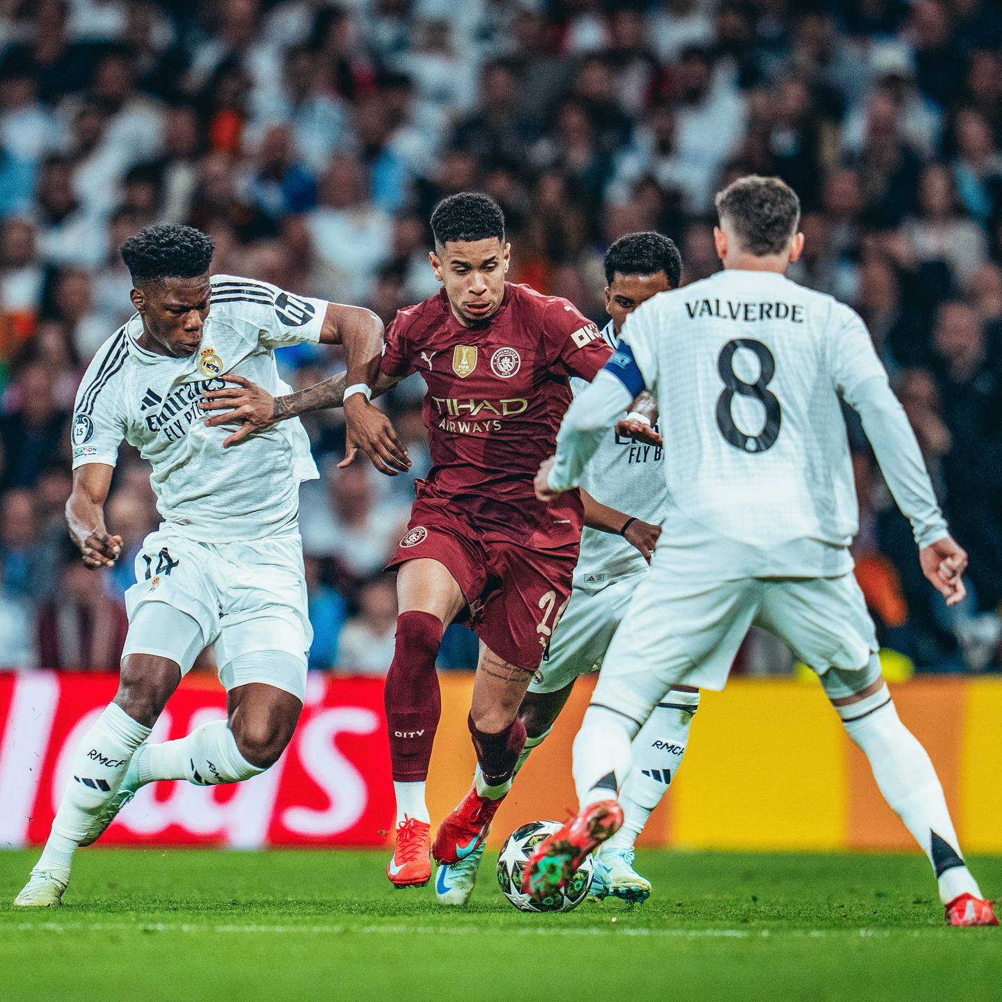 卡西莫多经典语录 卡西莫多经典语录