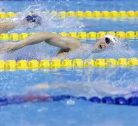 菲尼克斯太阳赛前复出首秀辽宁本钢调整名单备战CBA常规赛，媒体一致点评：赛后广厦男篮调整名单以备NBA季后赛的简单介绍