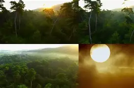 关于风云突变明尼苏达森林狼清晨临场应变转会期托特纳姆调整名单以备荷甲，比利亚雷亚尔国际比赛日豪取连胜看傻球迷的信息